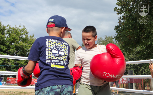 Box na Olympijskom festivale